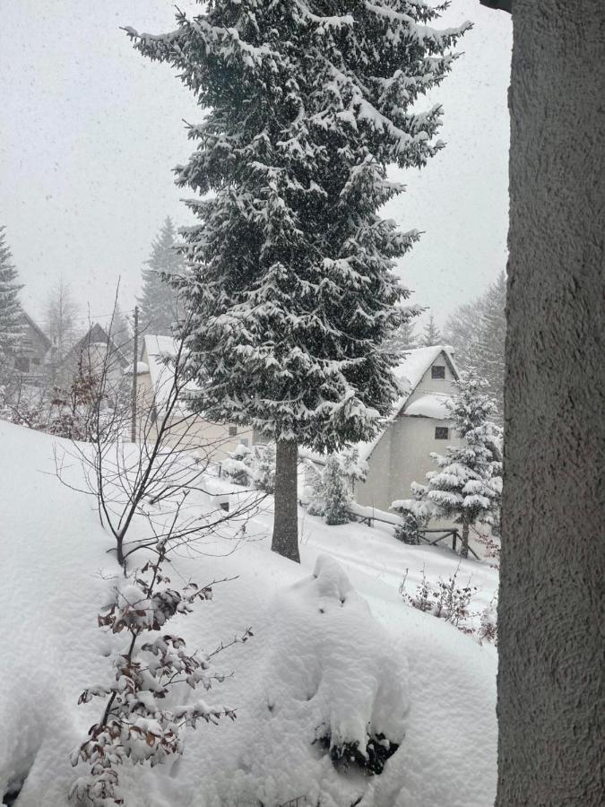 Vila Leni Kopaonik Exterior foto