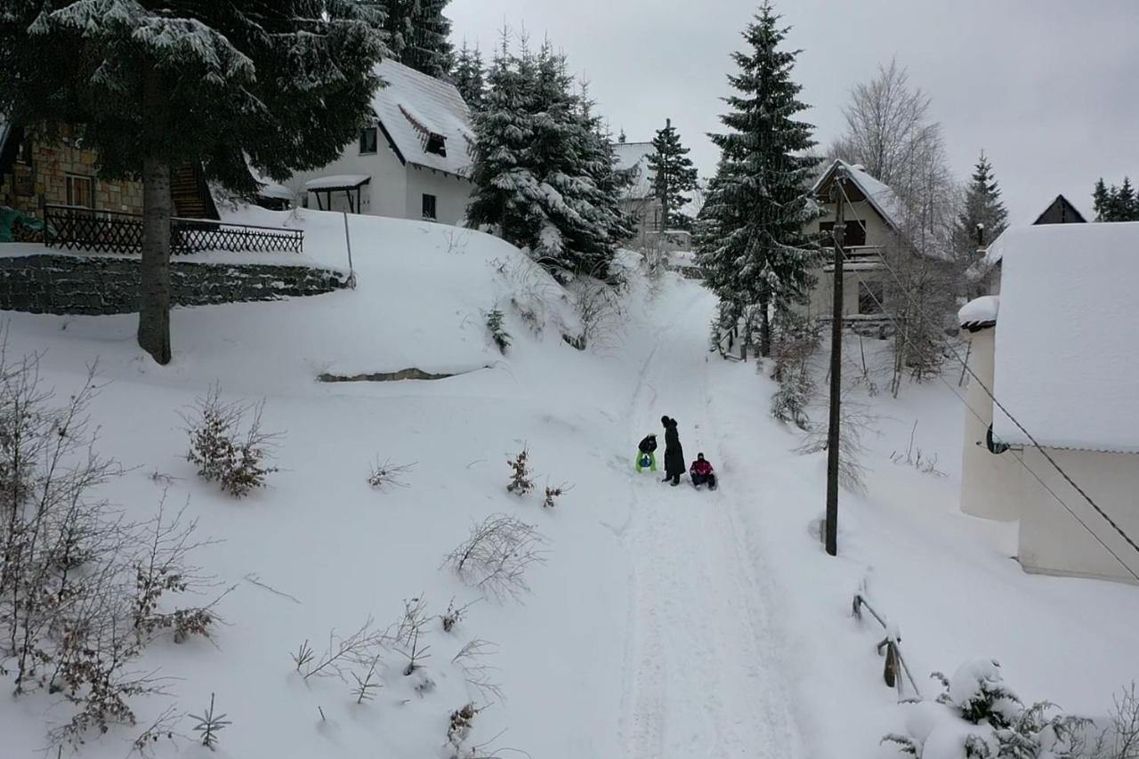 Vila Leni Kopaonik Exterior foto